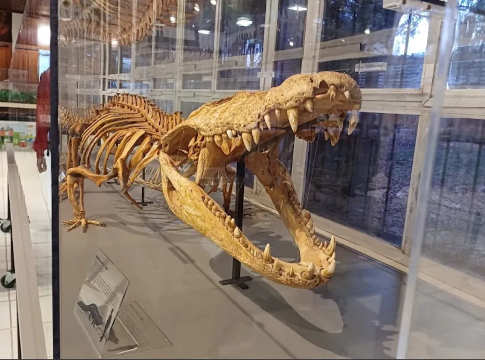 Museu de Paleontologia da UFAC